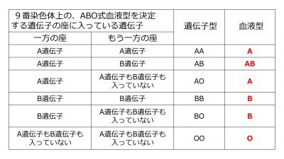 /wiki/images/thumb/1/16/ABOgenotypePhenotype.jpg/400px-ABOgenotypePhenotype.jpg