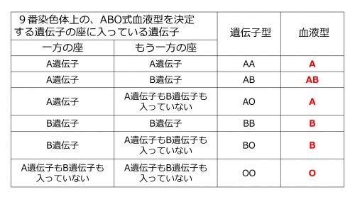 /wiki/images/thumb/1/16/ABOgenotypePhenotype.jpg/500px-ABOgenotypePhenotype.jpg