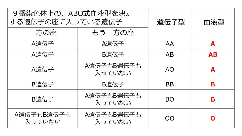 ファイル:ABOgenotypePhenotype.jpg