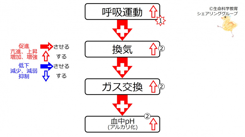 ファイル:HyperVentpH.jpg