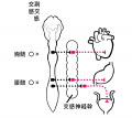 2022年3月7日 (月) 11:01時点における版のサムネイル