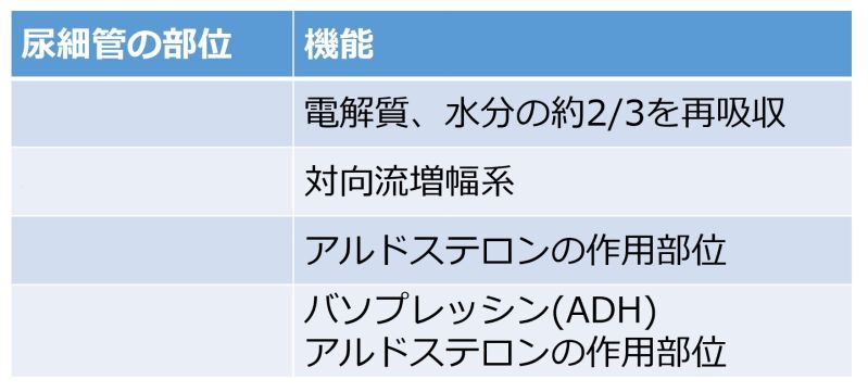 ファイル:Tubule table-wb.jpg