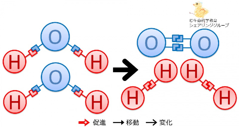 ファイル:化学反応.jpg