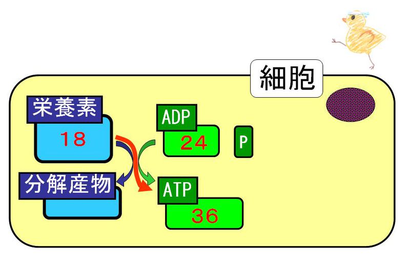 ファイル:01328.jpg