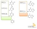 2023年9月11日 (月) 19:19時点における版のサムネイル
