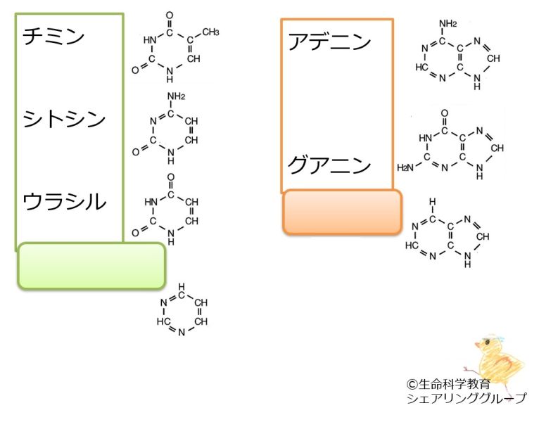 ファイル:03830-wb.jpg