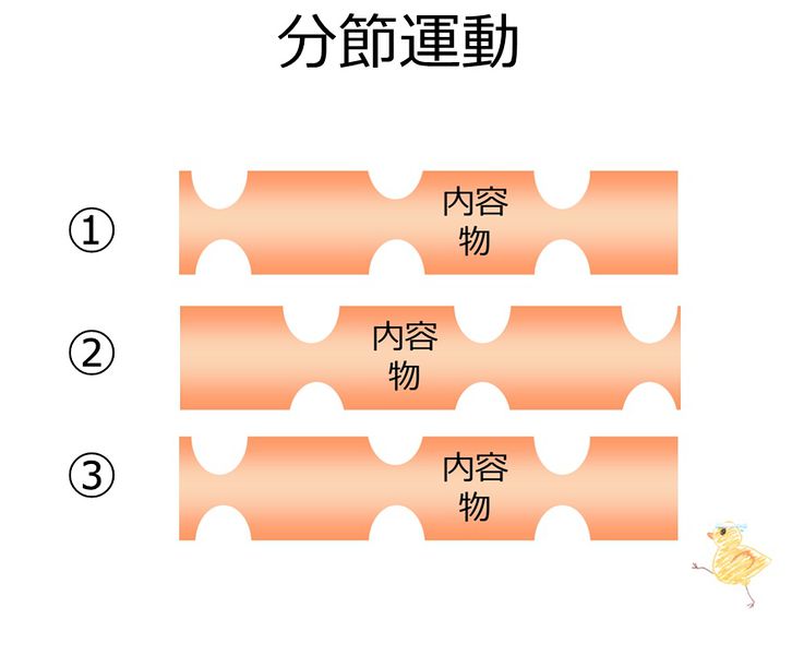 ファイル:03978.jpg