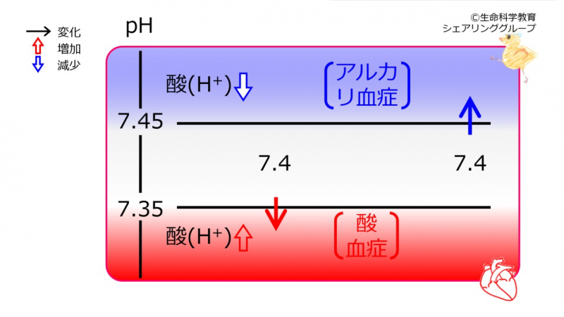 ファイル:04439-wb.jpg