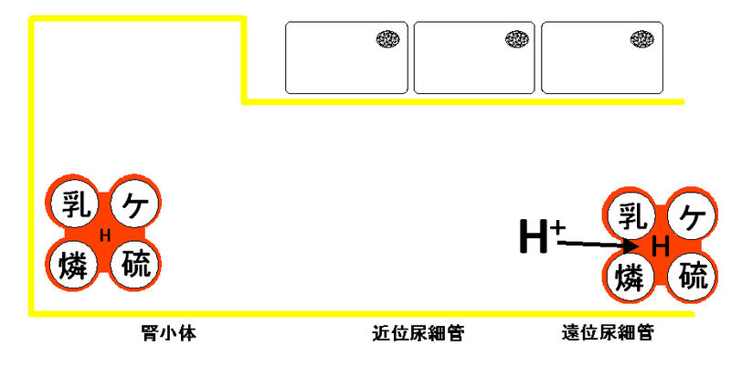 ファイル:00627.jpg