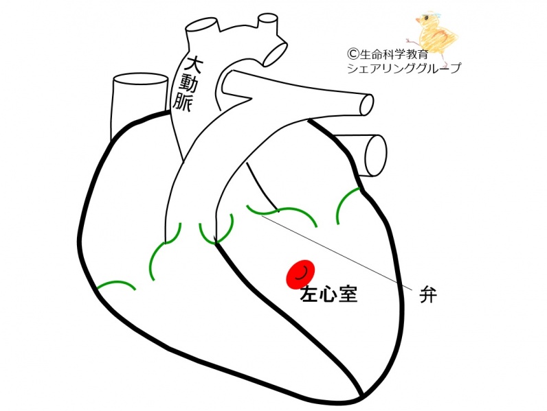 ファイル:03280-wb.jpg
