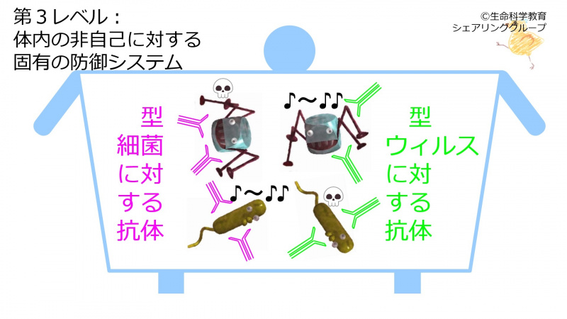 ファイル:03743-wb.jpg