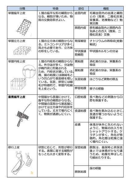ファイル:まとめ表1129.jpg