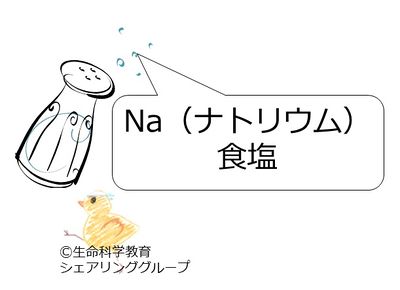 ナトリウム.jpg