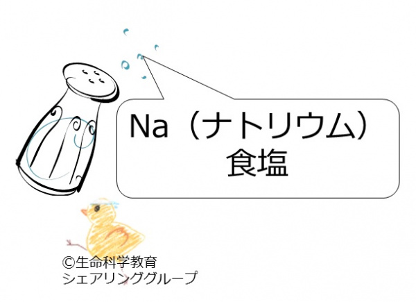 ナトリウム.jpg