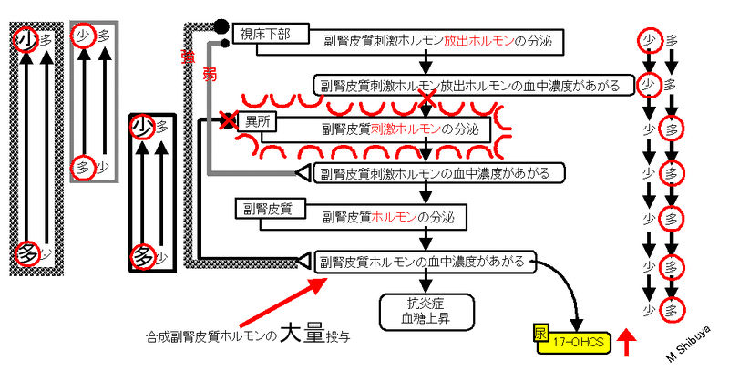 ファイル:00791.jpg