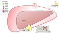 2023年8月13日 (日) 11:34時点における版のサムネイル