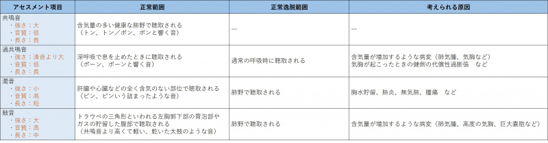 ファイル:表-胸部呼吸器-打診-胸郭の打診音の確認.jpg
