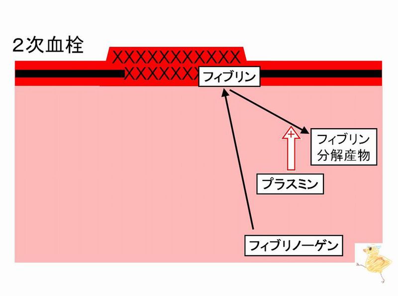 ファイル:03035.jpg