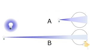 /wiki/images/thumb/1/1a/04482.jpg/300px-04482.jpg