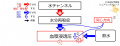 2020年8月6日 (木) 16:41時点における版のサムネイル