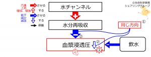/wiki/images/thumb/1/1a/WaterIntakeBeforeBasicFeedbackToWaterChannels-Jpn.jpg/300px-WaterIntakeBeforeBasicFeedbackToWaterChannels-Jpn.jpg