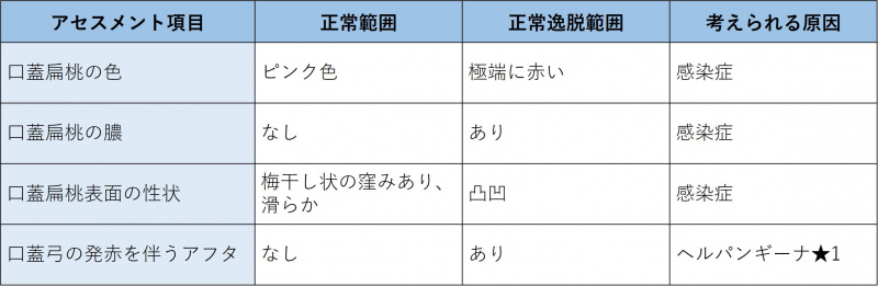 ファイル:表-頭頸部-口-口蓋・咽頭のアセスメント.jpeg