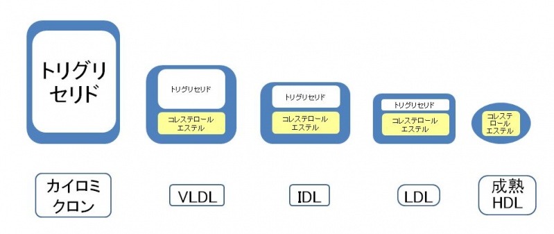 ファイル:02491.jpg