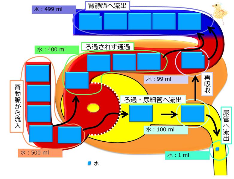 ファイル:04342.jpg