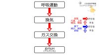 /wiki/images/thumb/1/1c/VentpH.jpg/200px-VentpH.jpg