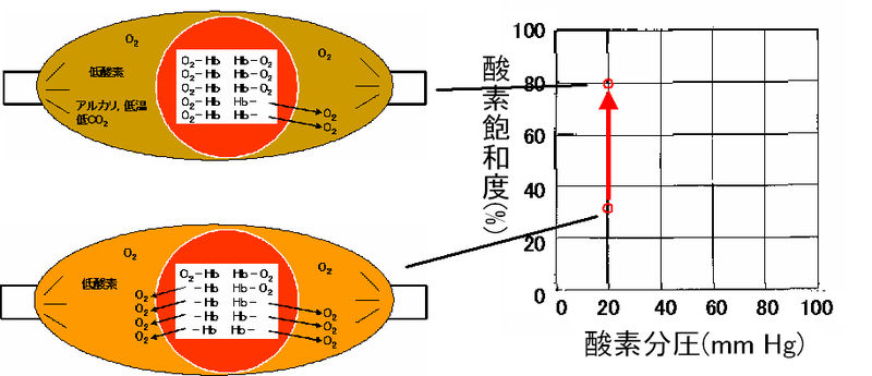 ファイル:00367.jpg