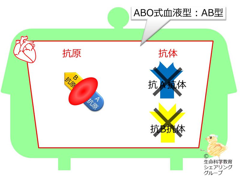 ファイル:04552.jpg