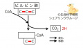 2022年5月25日 (水) 14:35時点における版のサムネイル