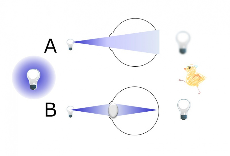 ファイル:04483-wb.jpg