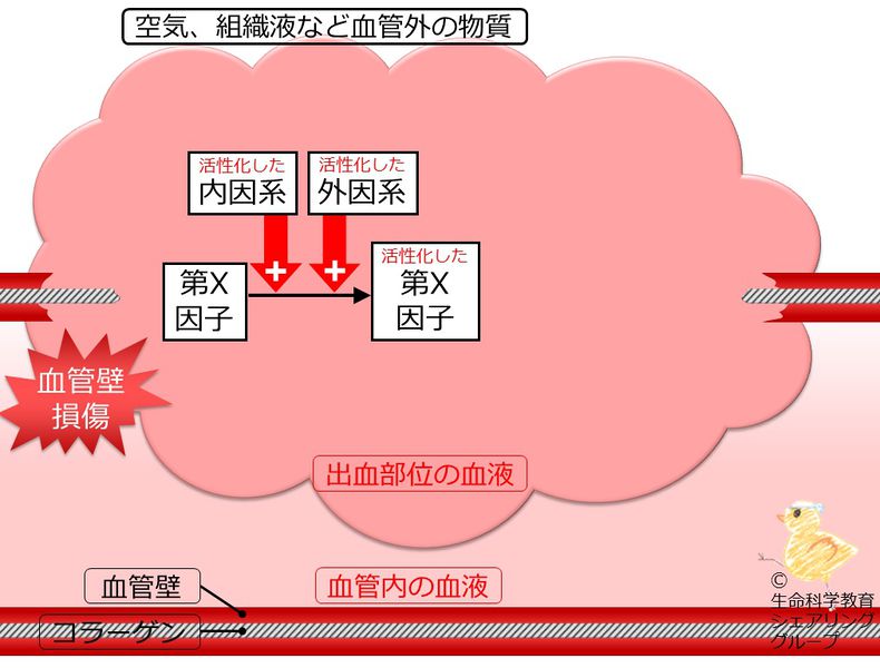 ファイル:04700.jpg