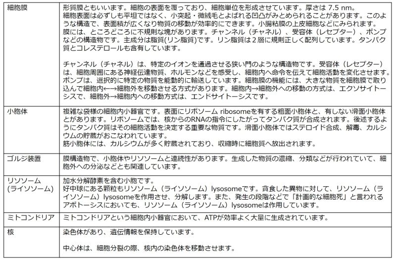 ファイル:細胞内小器官まとめ表.jpg