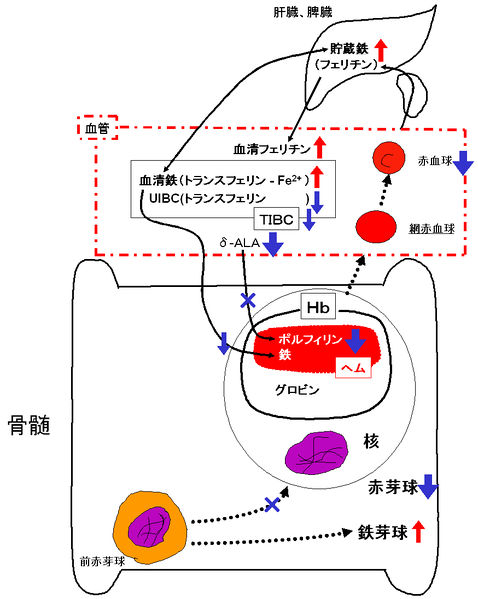ファイル:00418.jpg