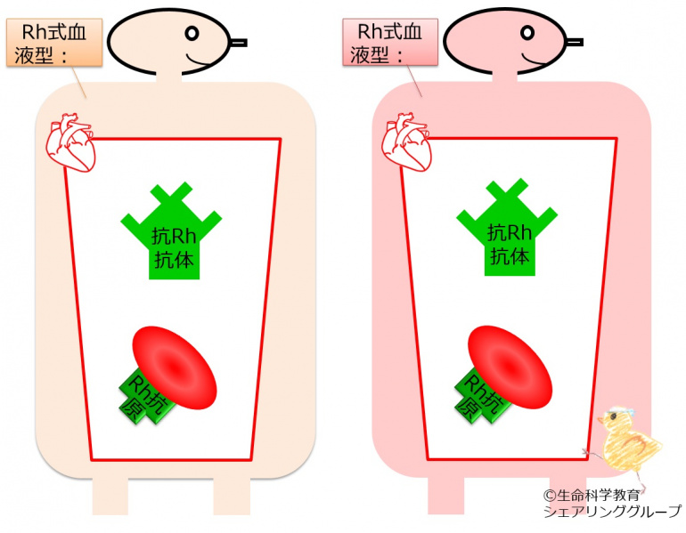 ファイル:04666-wb.jpg