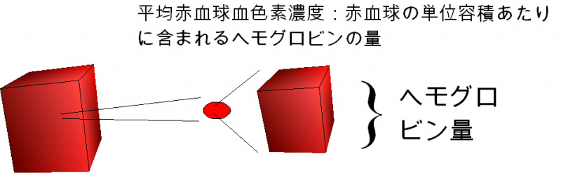 ファイル:00415-wb.jpg