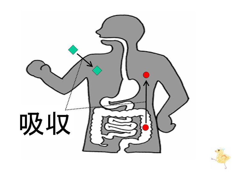 ファイル:01465.jpg