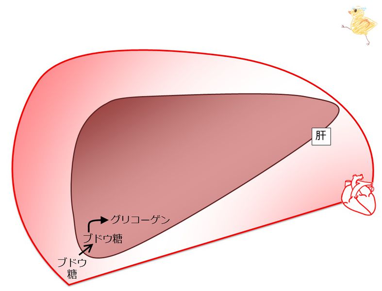 ファイル:03877.jpg