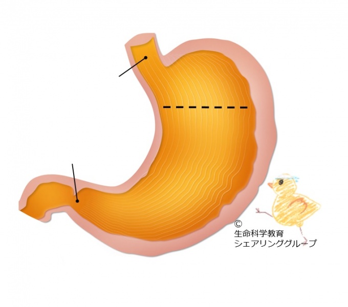 ファイル:04573-wb.jpg