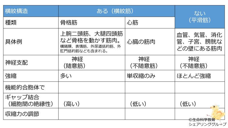 ファイル:Muscles-basic-table-Jpn-wb.jpg
