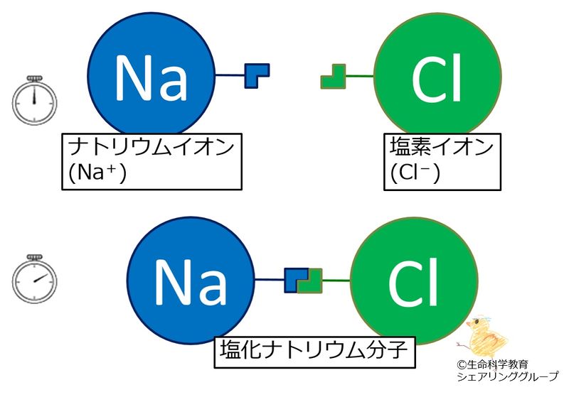 ファイル:NaCl イオン結合.jpg