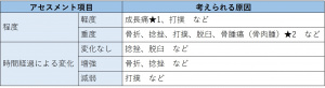 表-筋骨格-問診2-痛みの詳細-程度持続時間.jpg