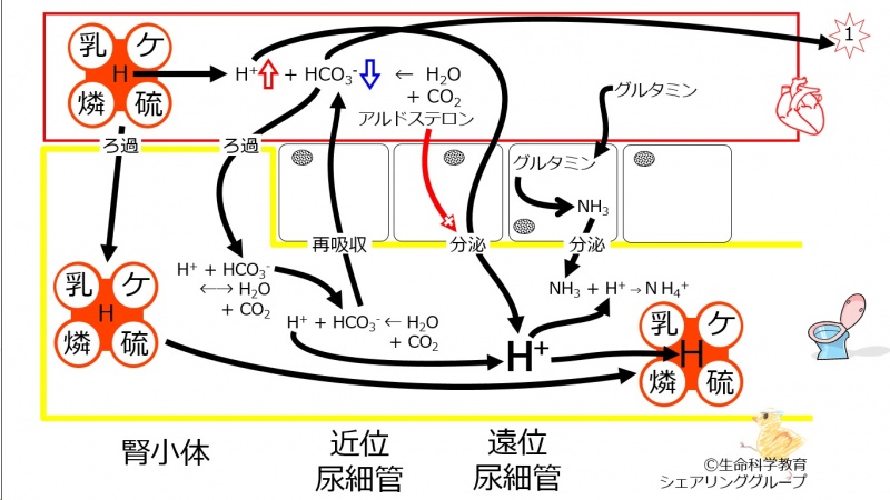 ファイル:00702.jpg