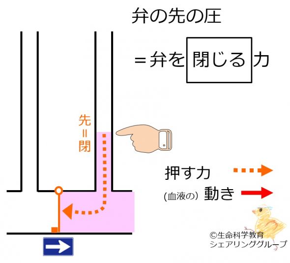 /wiki/images/thumb/2/21/Downside-valve-pressure.jpg/590px-Downside-valve-pressure.jpg