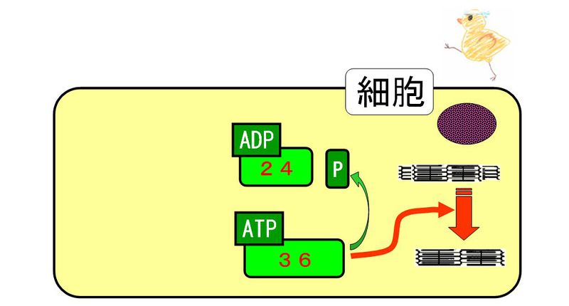 ファイル:01333.jpg