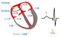 2015年2月12日 (木) 09:41時点における版のサムネイル