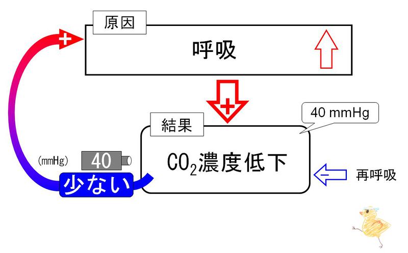 ファイル:02205.jpg