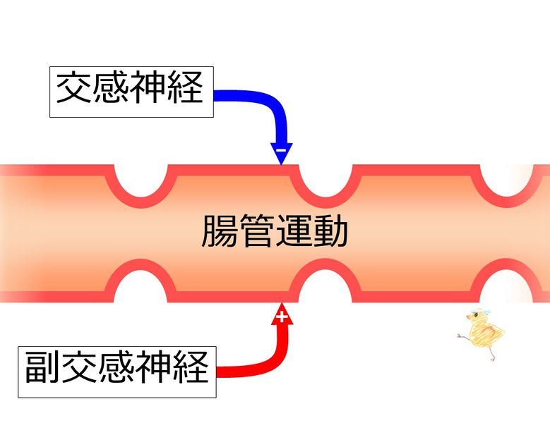 ファイル:04061.jpg